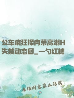 公车疯狂揉肉蒂高潮H失禁动态图