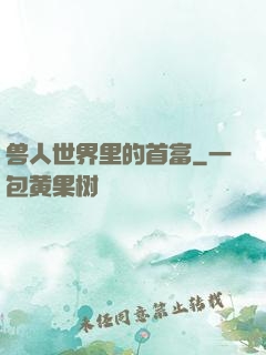 兽人世界里的首富