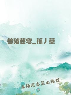 兽破苍穹