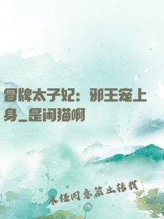 冒牌太子妃：邪王宠上身