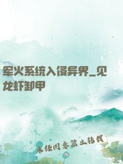 军火系统入侵异界