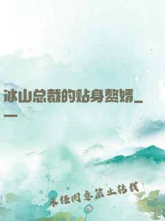 冰山总裁的贴身赘婿