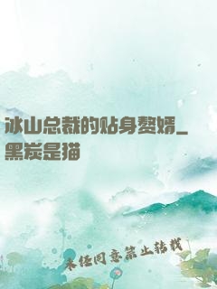冰山总裁的贴身赘婿