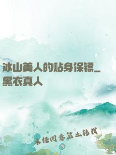 冰山美人的贴身保镖
