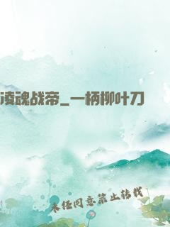凌魂战帝