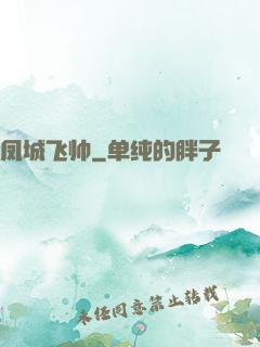 凤城飞帅