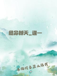 凰命朝天