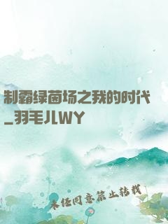 制霸绿茵场之我的时代