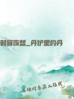 刺客夜盟