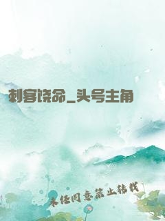 刺客饶命