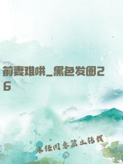 前妻难哄