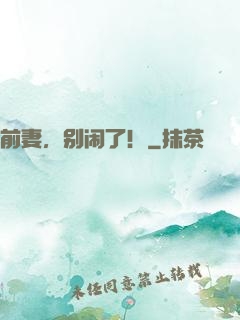 前妻，别闹了！