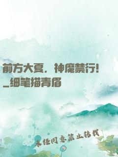 前方大夏，神魔禁行！