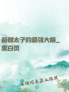 前朝太子的最强大脑