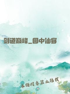 剑道巅峰
