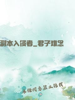 副本入侵者
