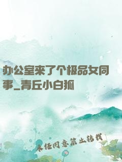 办公室来了个极品女同事