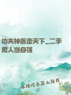 功夫神医走天下