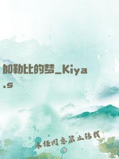 加勒比的梦