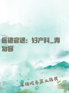 医道官途：妇产科