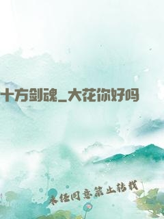十方剑魂