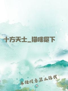 十方天士