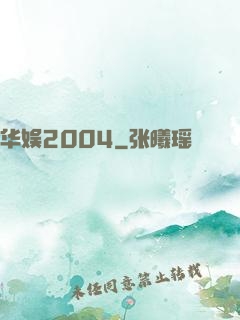 华娱2004