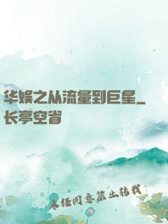 华娱之从流量到巨星