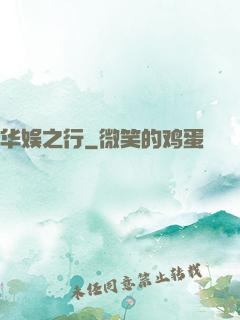 华娱之行