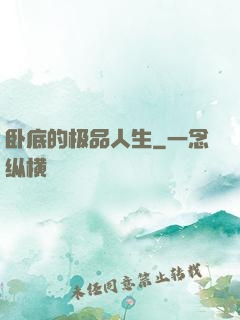 卧底的极品人生