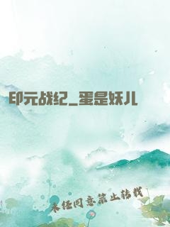 印元战纪