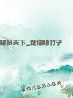 印镇天下