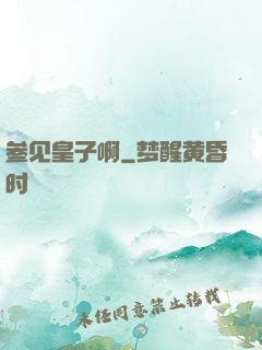 参见皇子啊