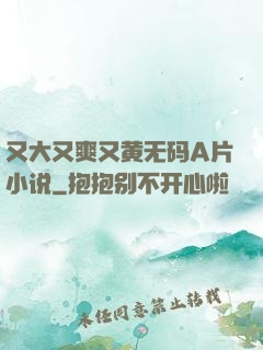 又大又爽又黄无码A片小说