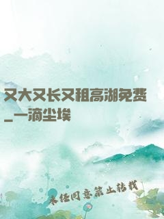 又大又长又租高湖免费