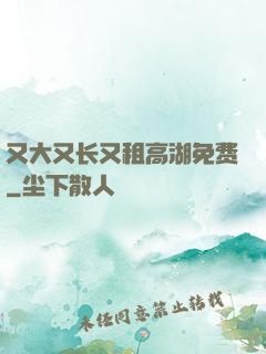 又大又长又租高湖免费
