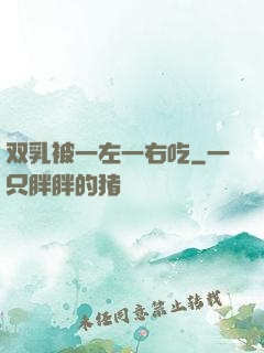 双乳被一左一右吃