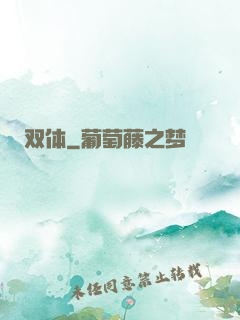 双体