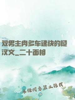 双男主肉多车速快的糙汉文