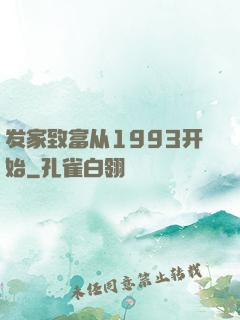 发家致富从1993开始
