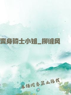 变身骑士小姐