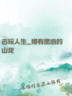 古玩人生