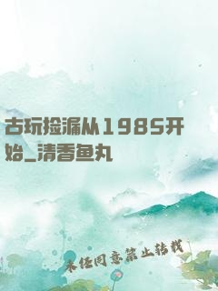 古玩捡漏从1985开始