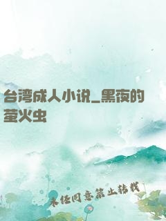 台湾成人小说