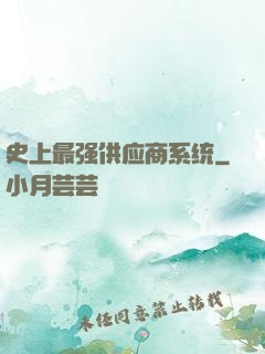 史上最强供应商系统