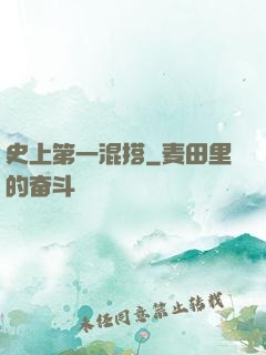 史上第一混搭