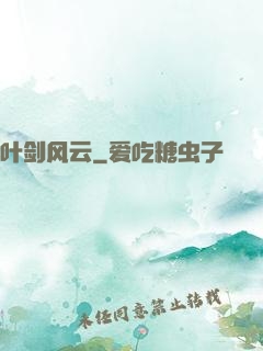叶剑风云