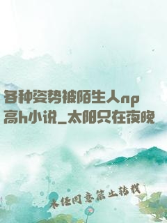 各种姿势被陌生人np高h小说