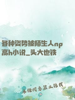 各种姿势被陌生人np高h小说