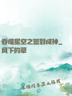吞噬星空之签到成神
